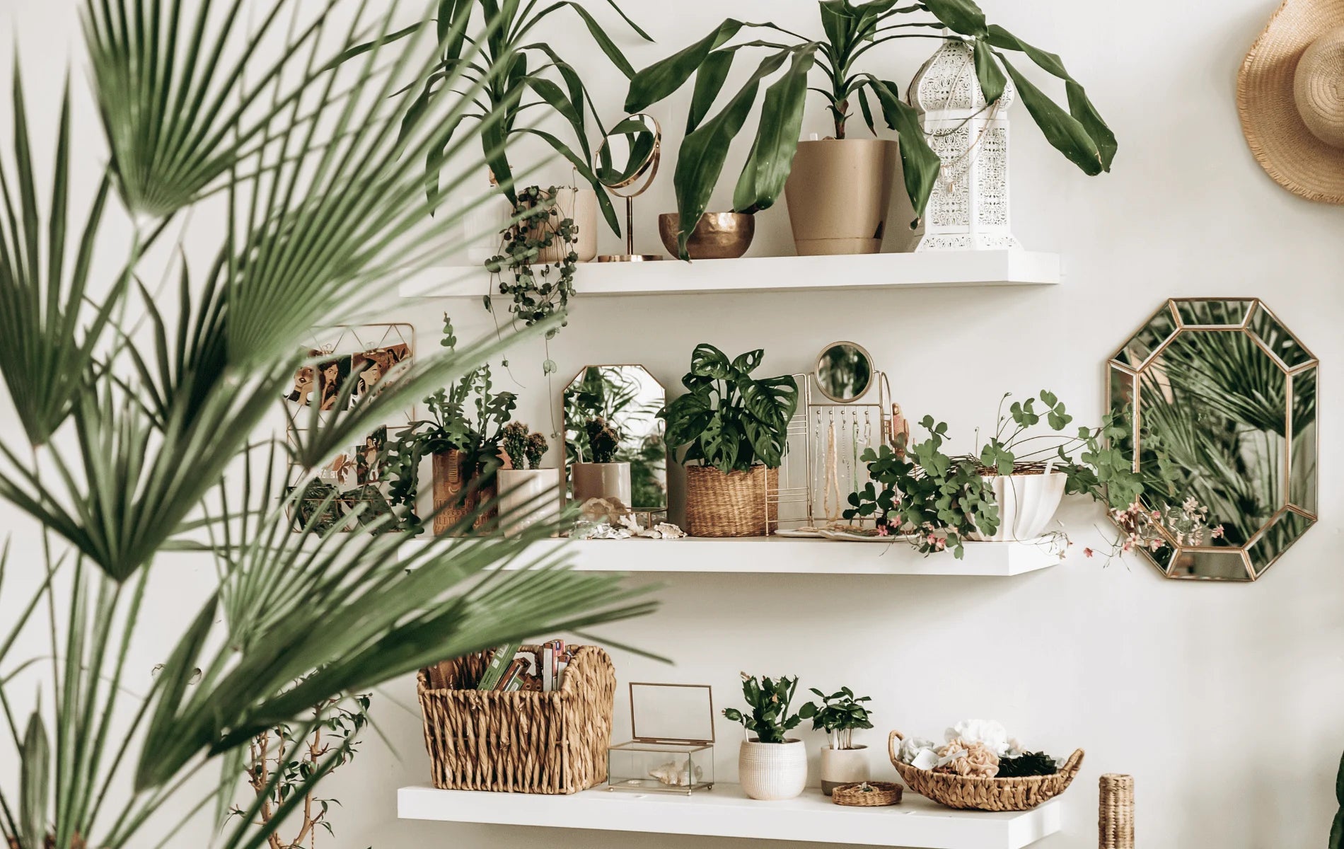 ideas-creativas-decorar-plantas-interior