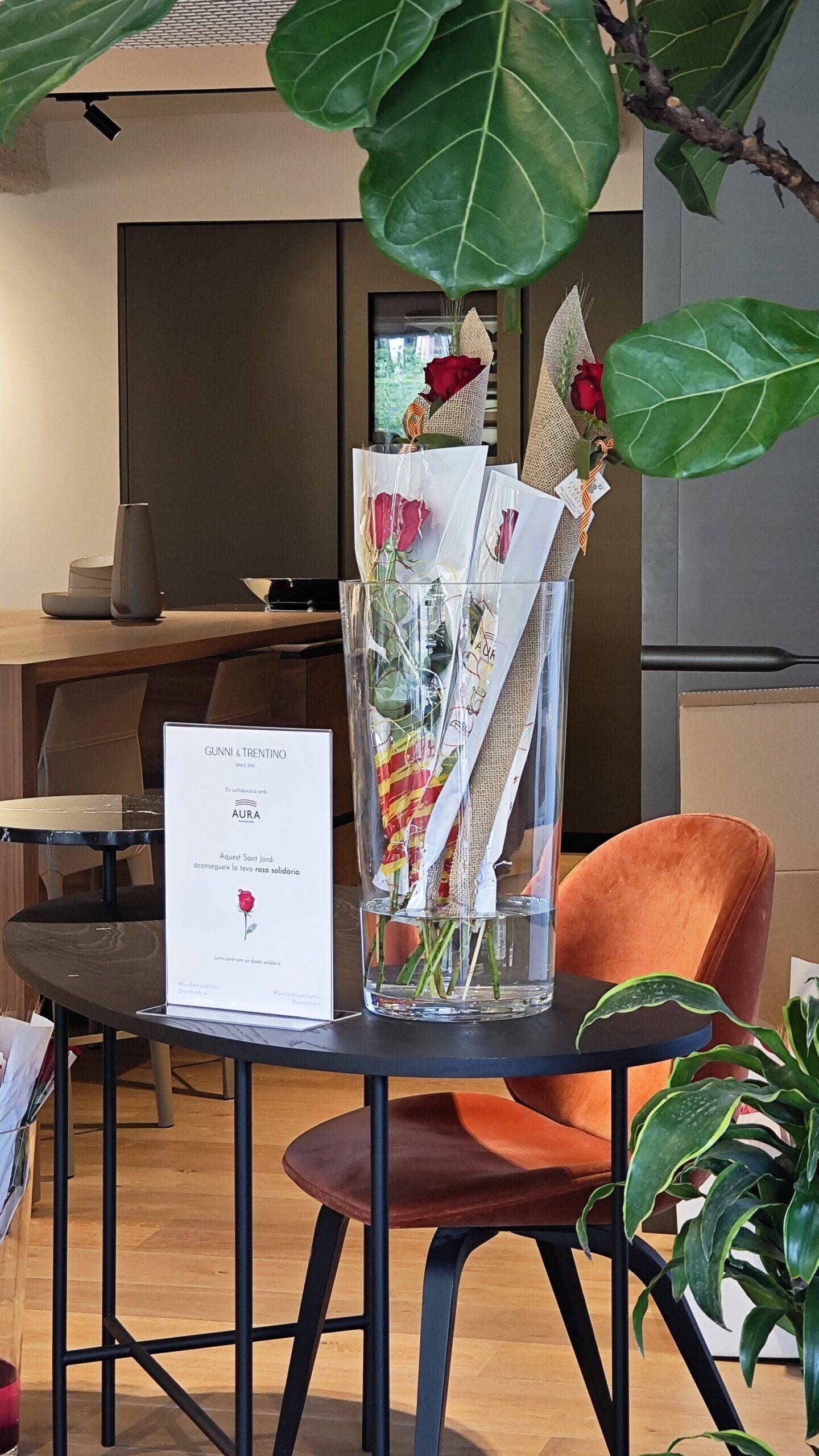 santjordi-flagship-tiendamueblesdelujo-barcelona