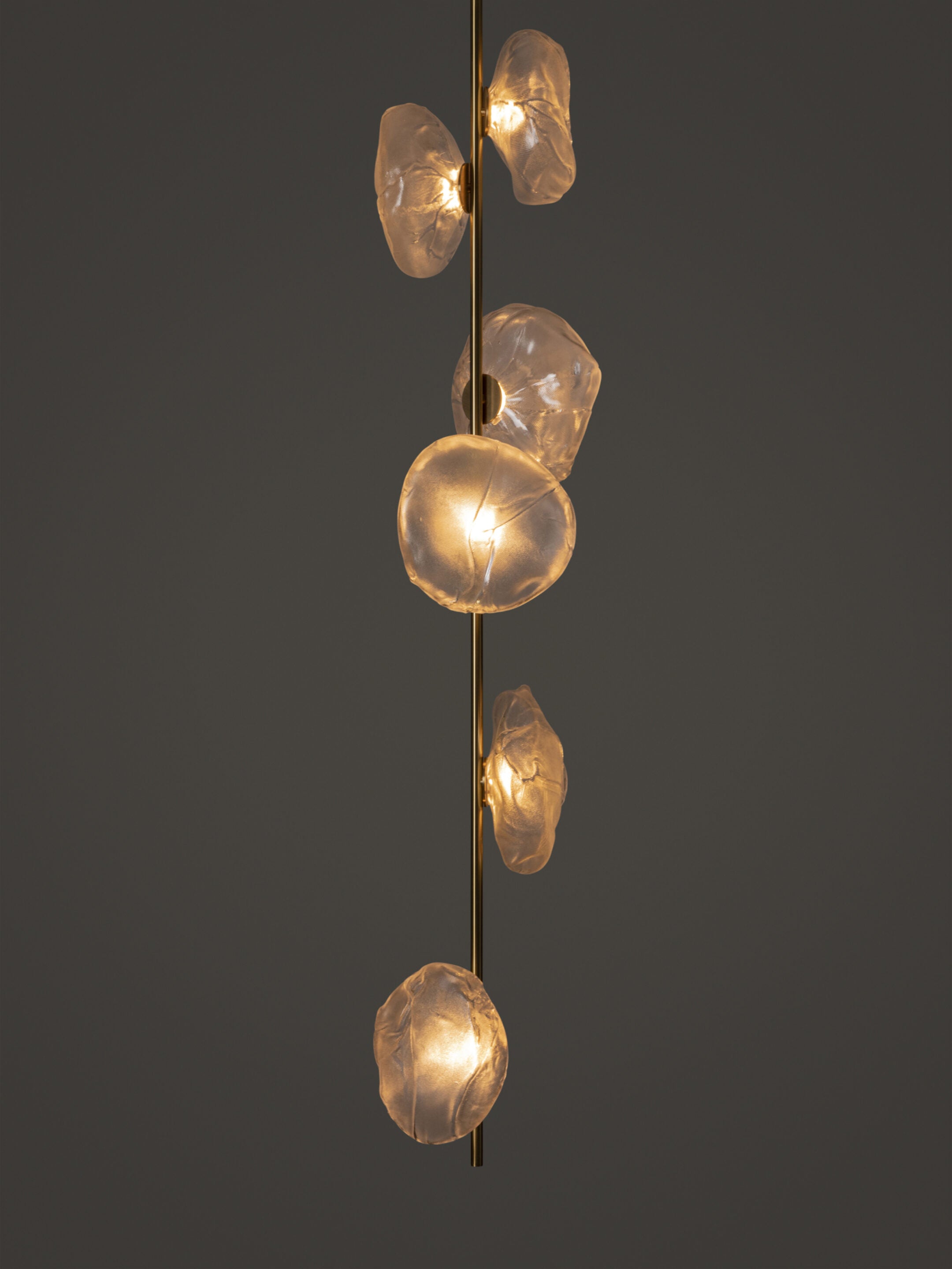 Lámpara de techo 73.6 Stem Ceiling Clear | Brass Stem