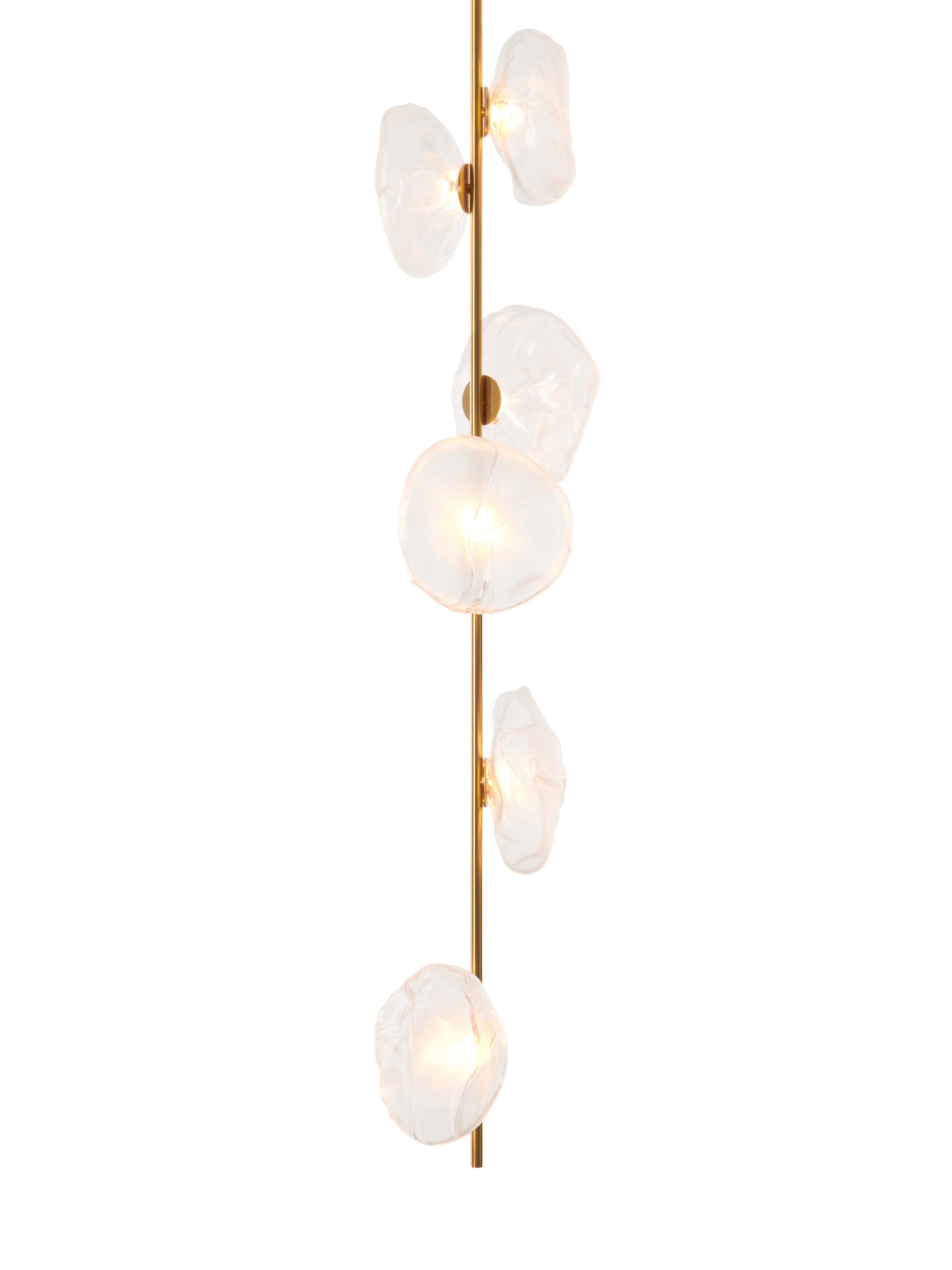 73.6 Stem Ceiling Light Clear | Brass Stem