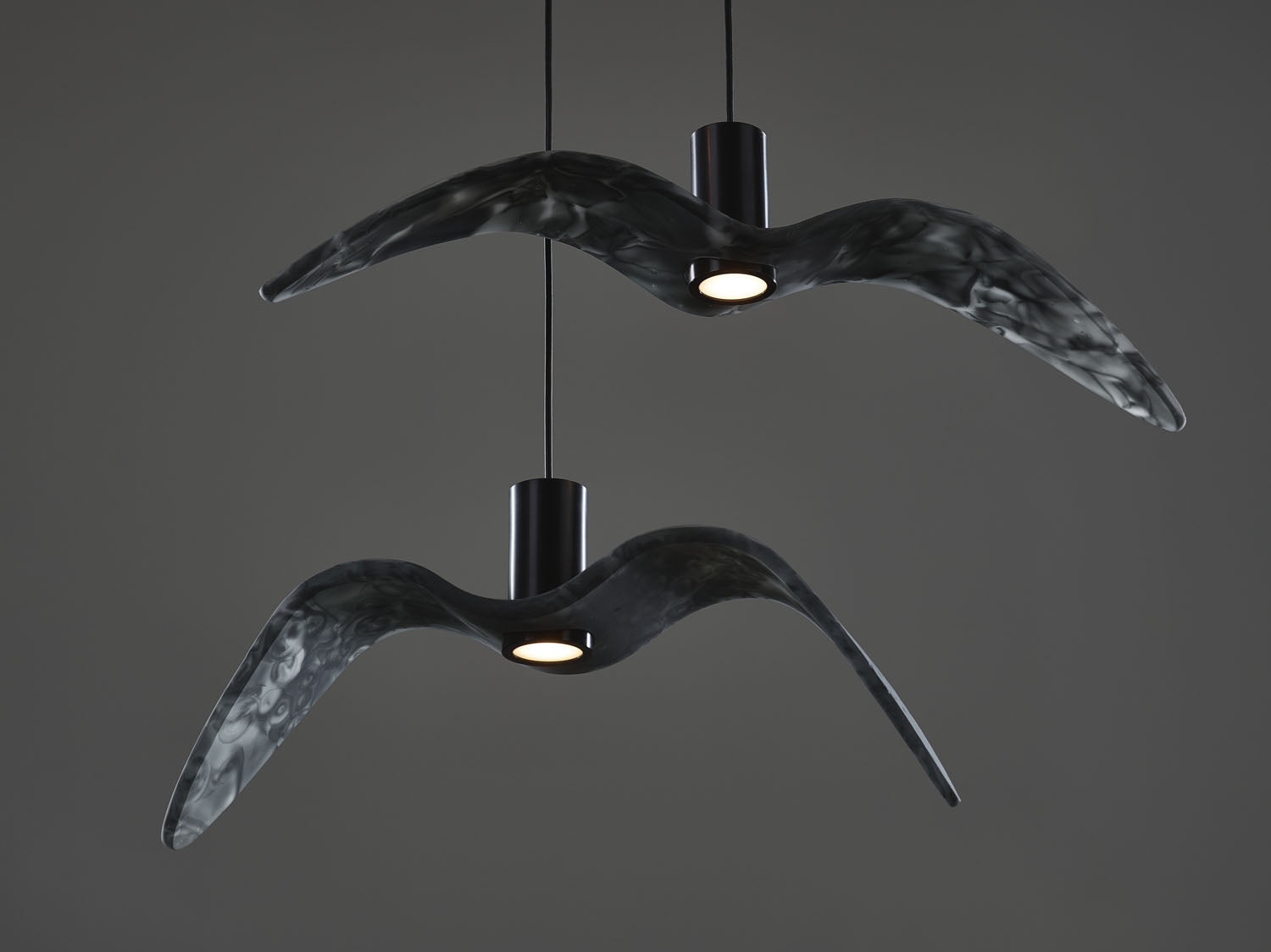 Night Birds Interior Ceiling Lamp