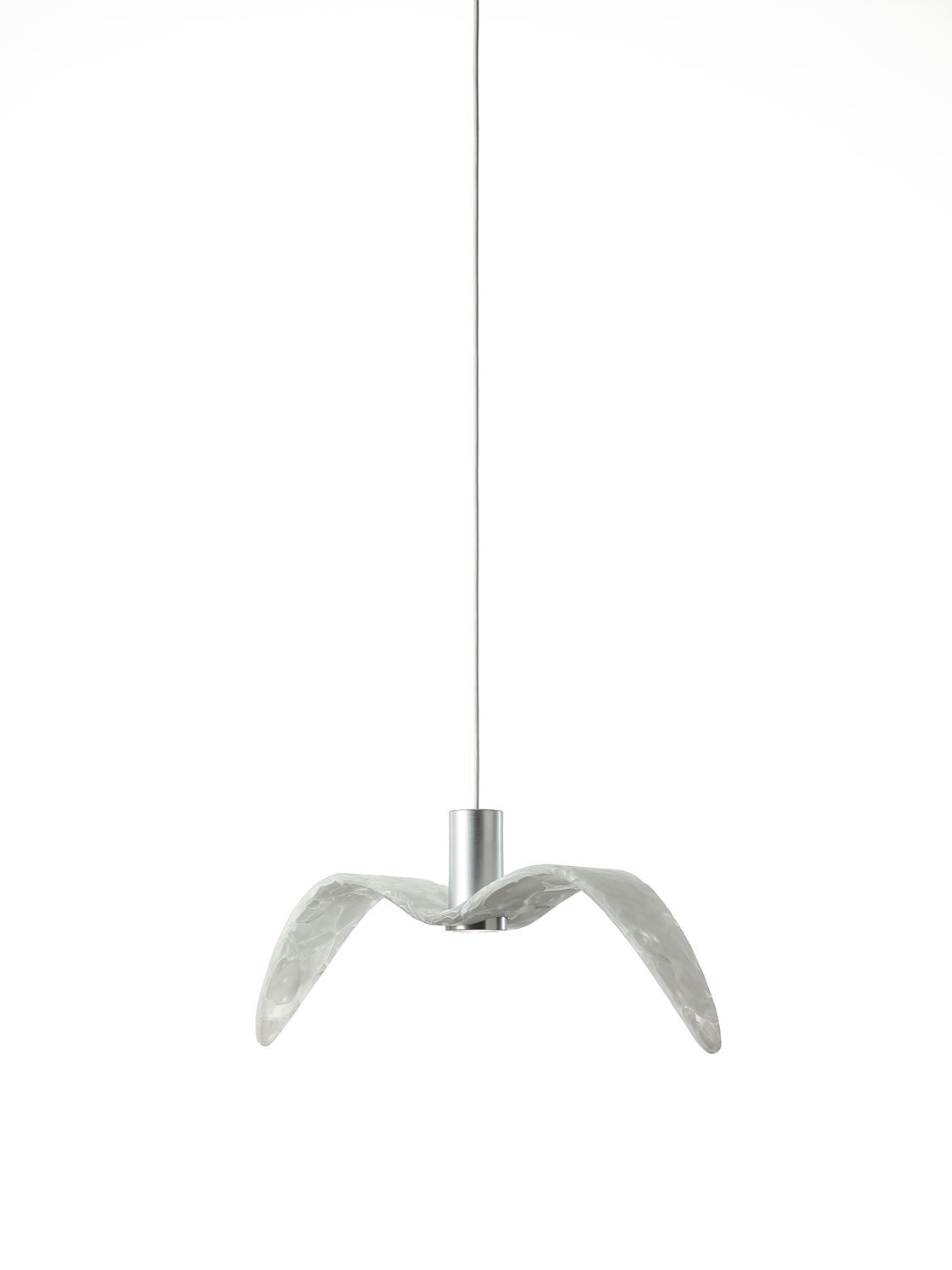 Night Birds Interior Ceiling Lamp