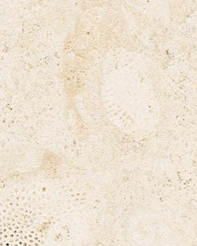 Coralina collection porcelain flooring