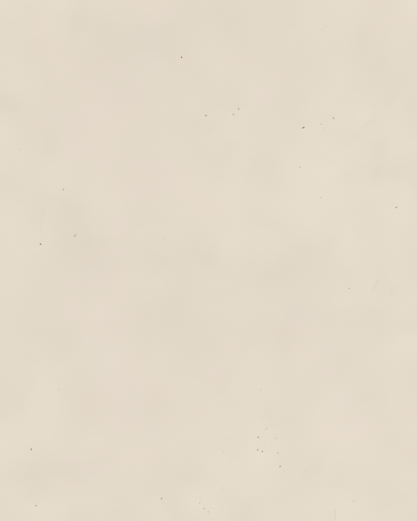 Clay collection porcelain flooring