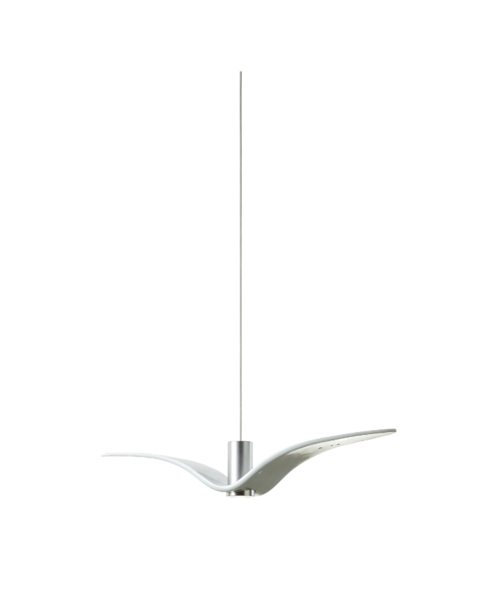 Night Birds Outdoor Ceiling Lamp