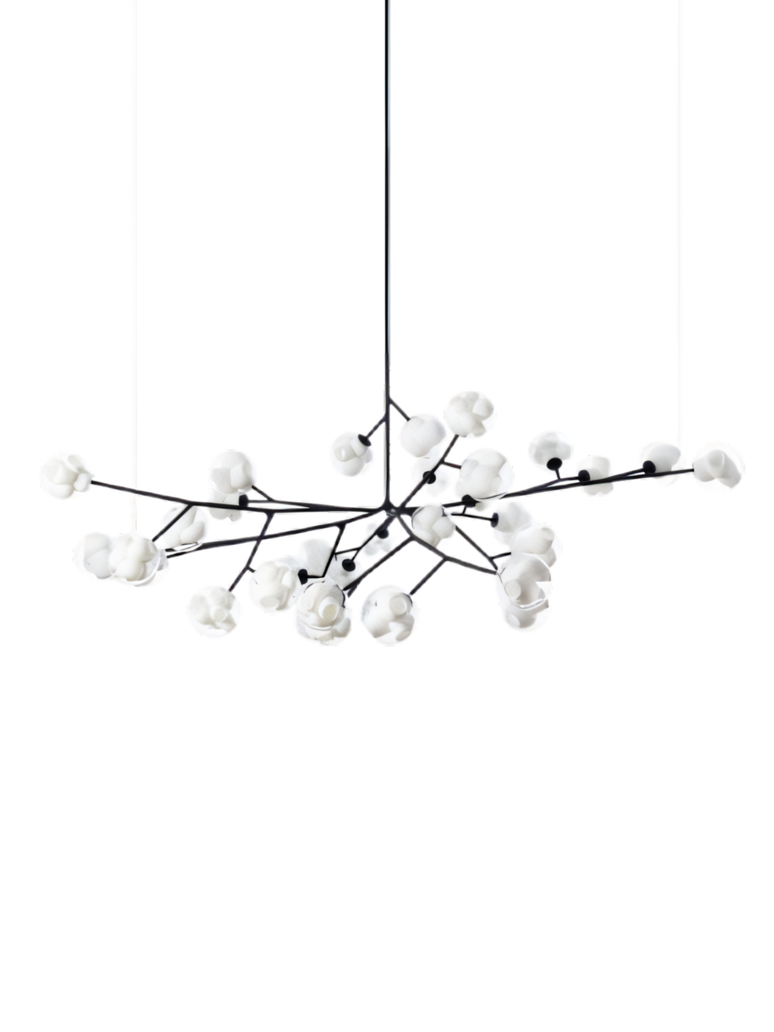Ceiling lamp 38.33Va.1 | Black Canopy