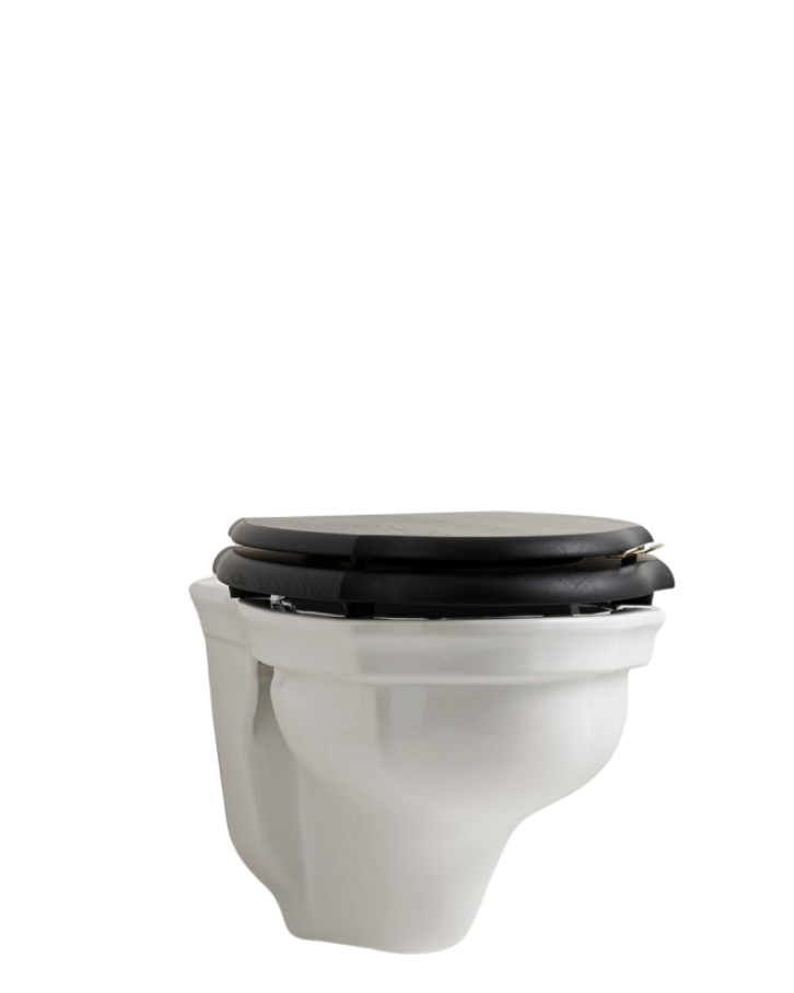 Westminster wall-hung toilet