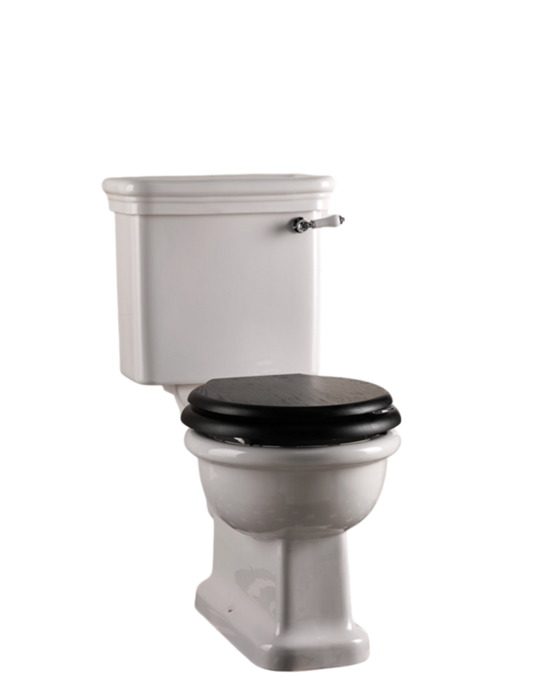 Etoile floor-standing toilet with exposed cistern