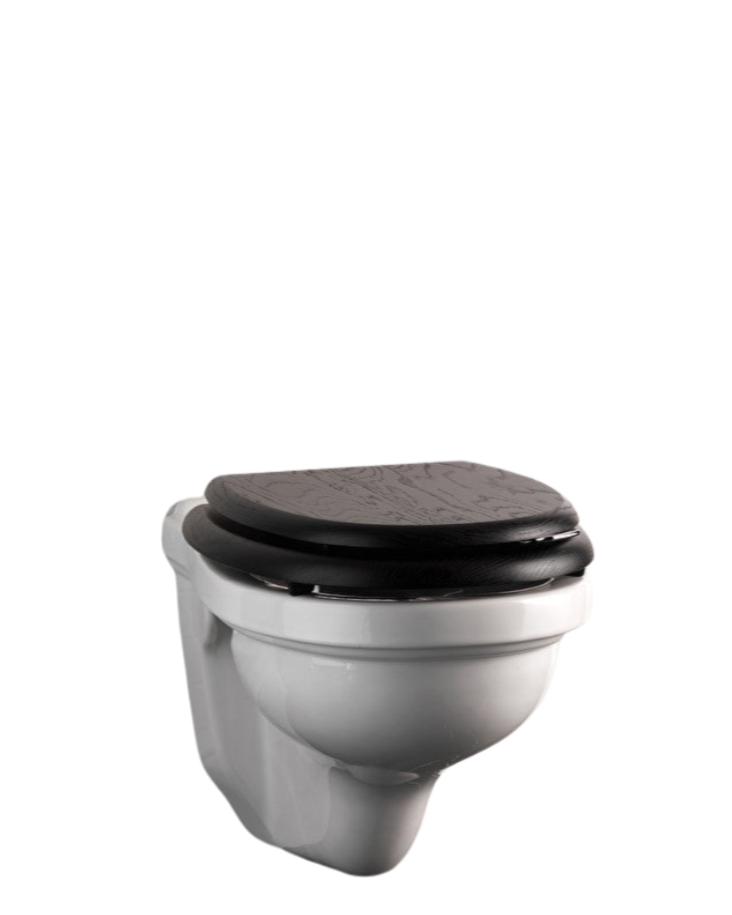 Blues wall-hung toilet