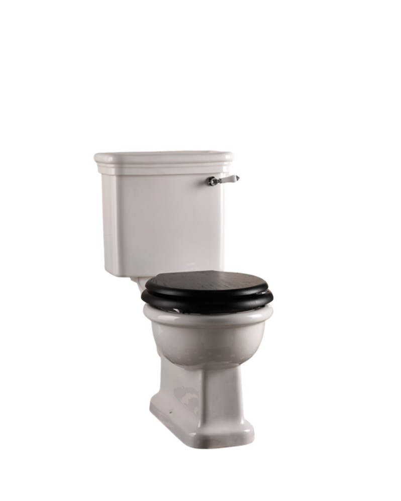 Etoile floor-standing toilet with exposed cistern