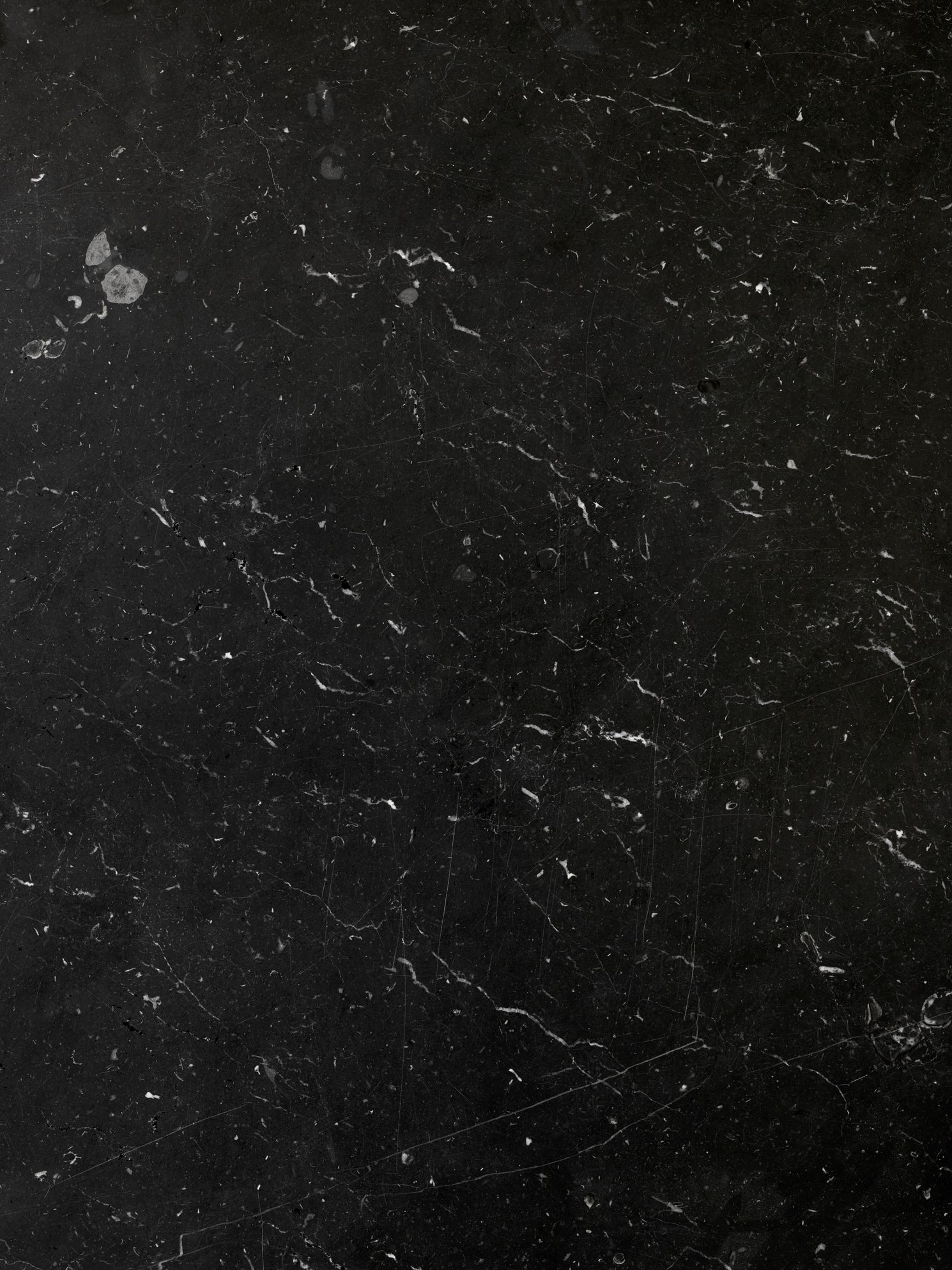 Fly SC4 coffee table