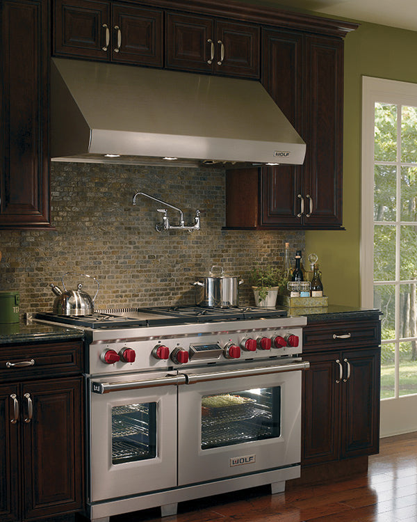 Pro Wall Extractor with 1219 mm Infrared Heat Lamps