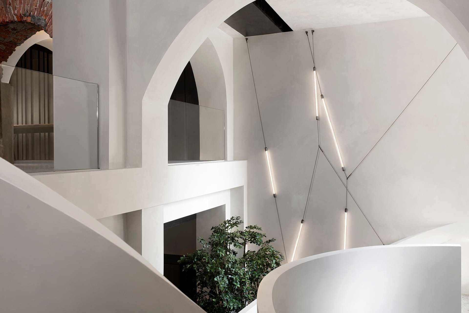 Spyder Wall Ceiling Lamp