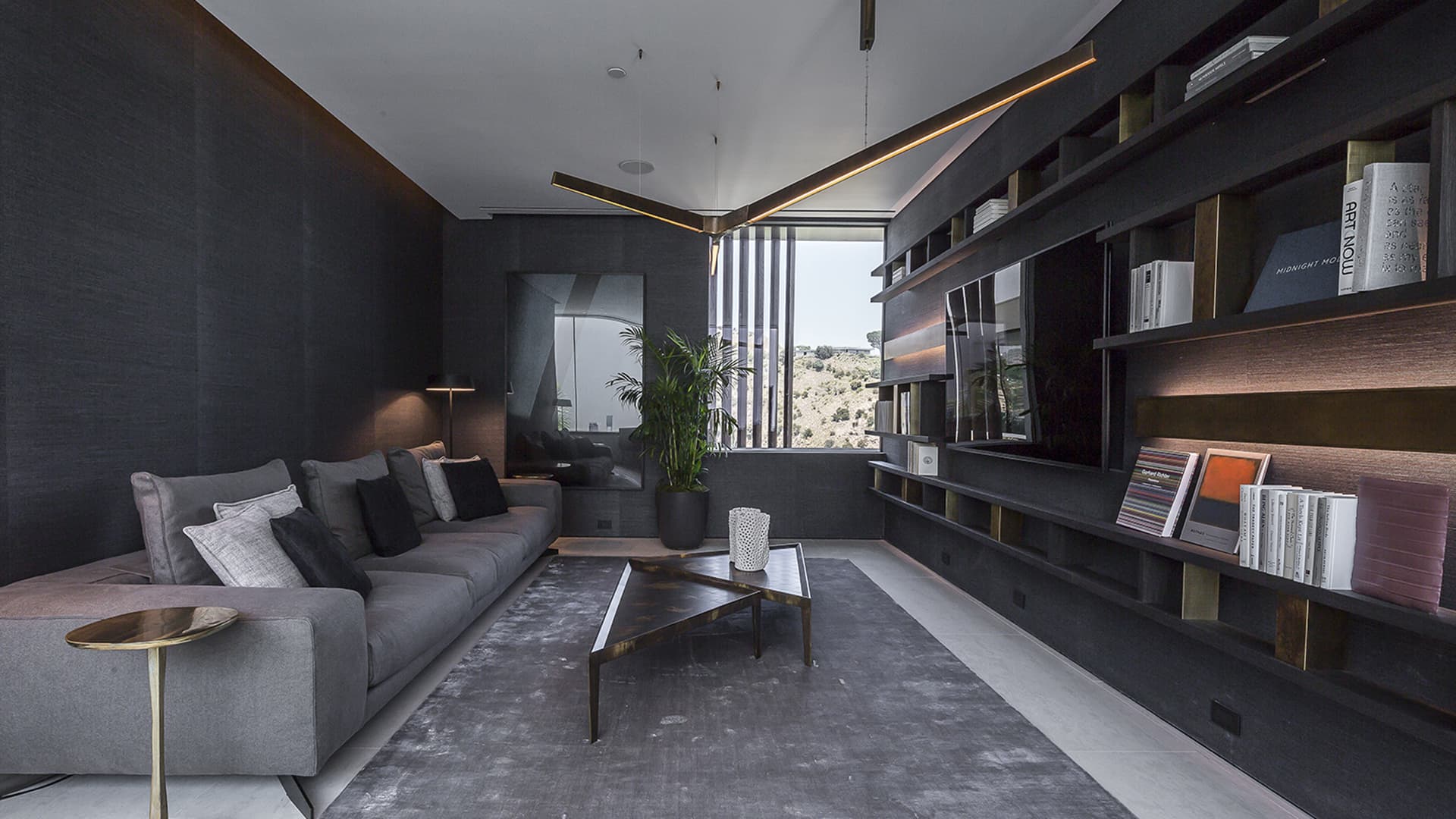 Starlight Horizontal Ceiling Lamp