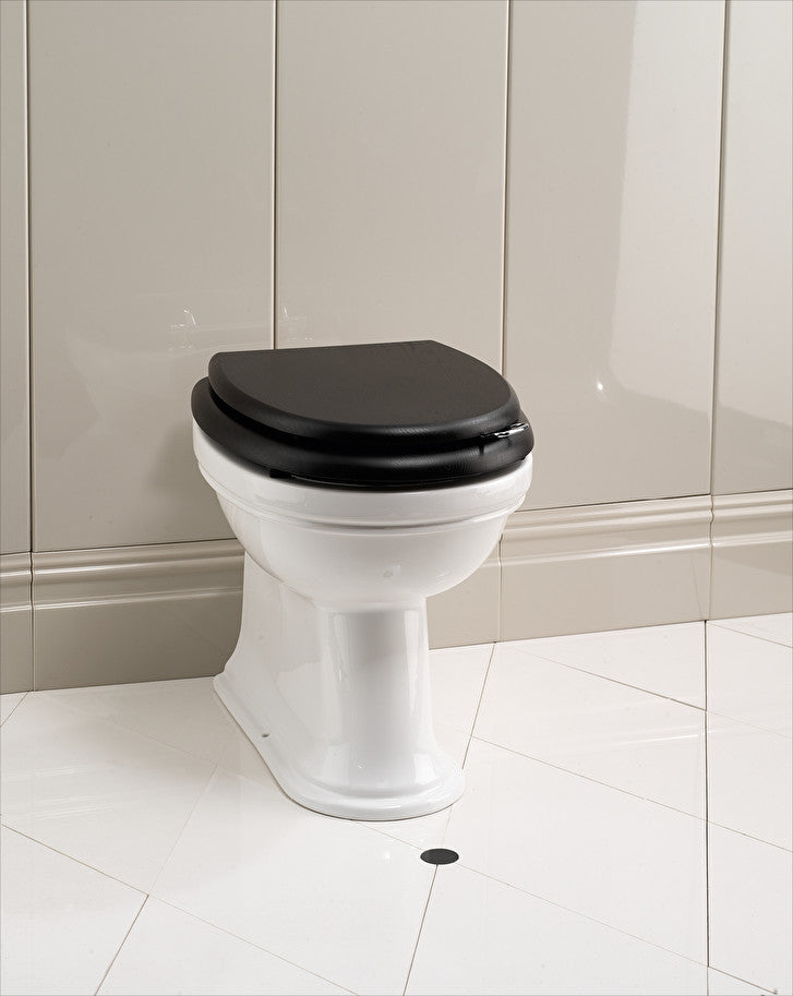 Rose floor-standing toilet