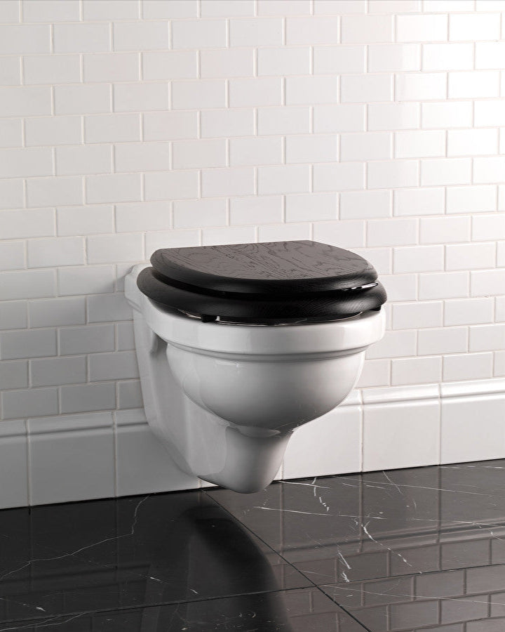 Blues wall-hung toilet