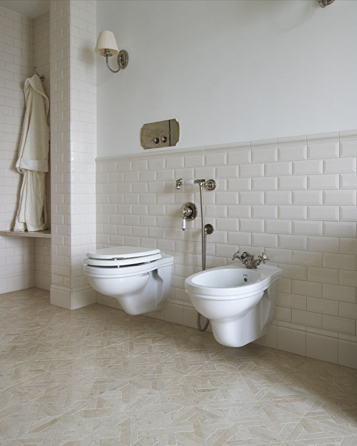 Rose wall-hung toilet