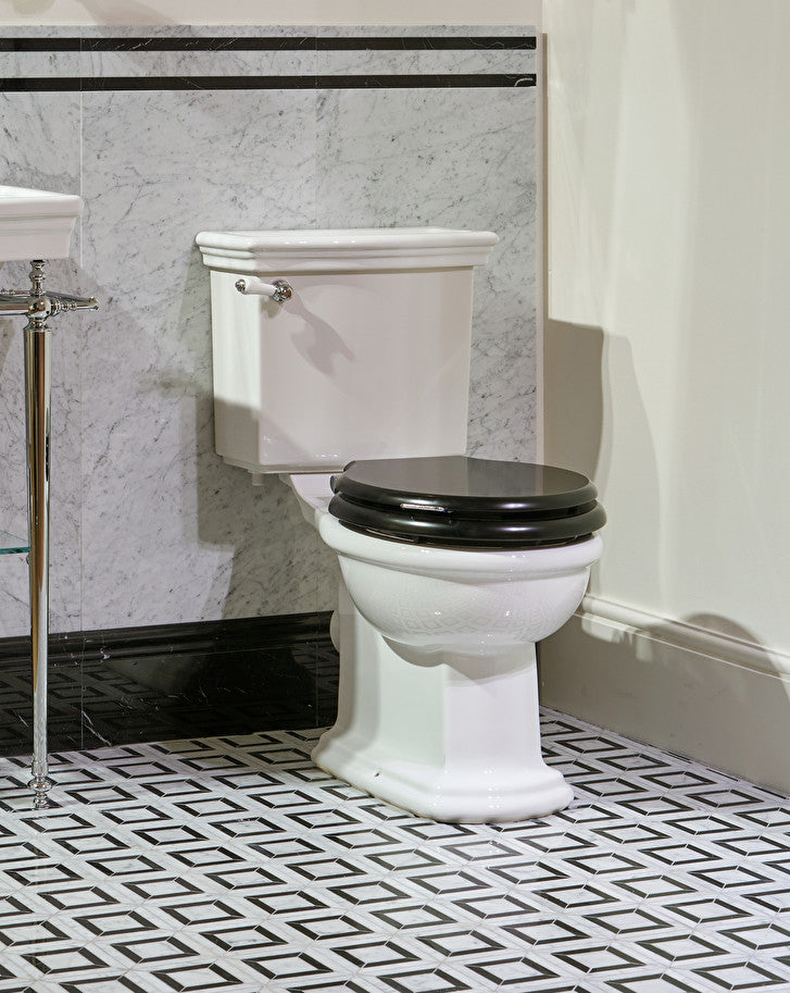 New Etoile floor-standing toilet with exposed cistern