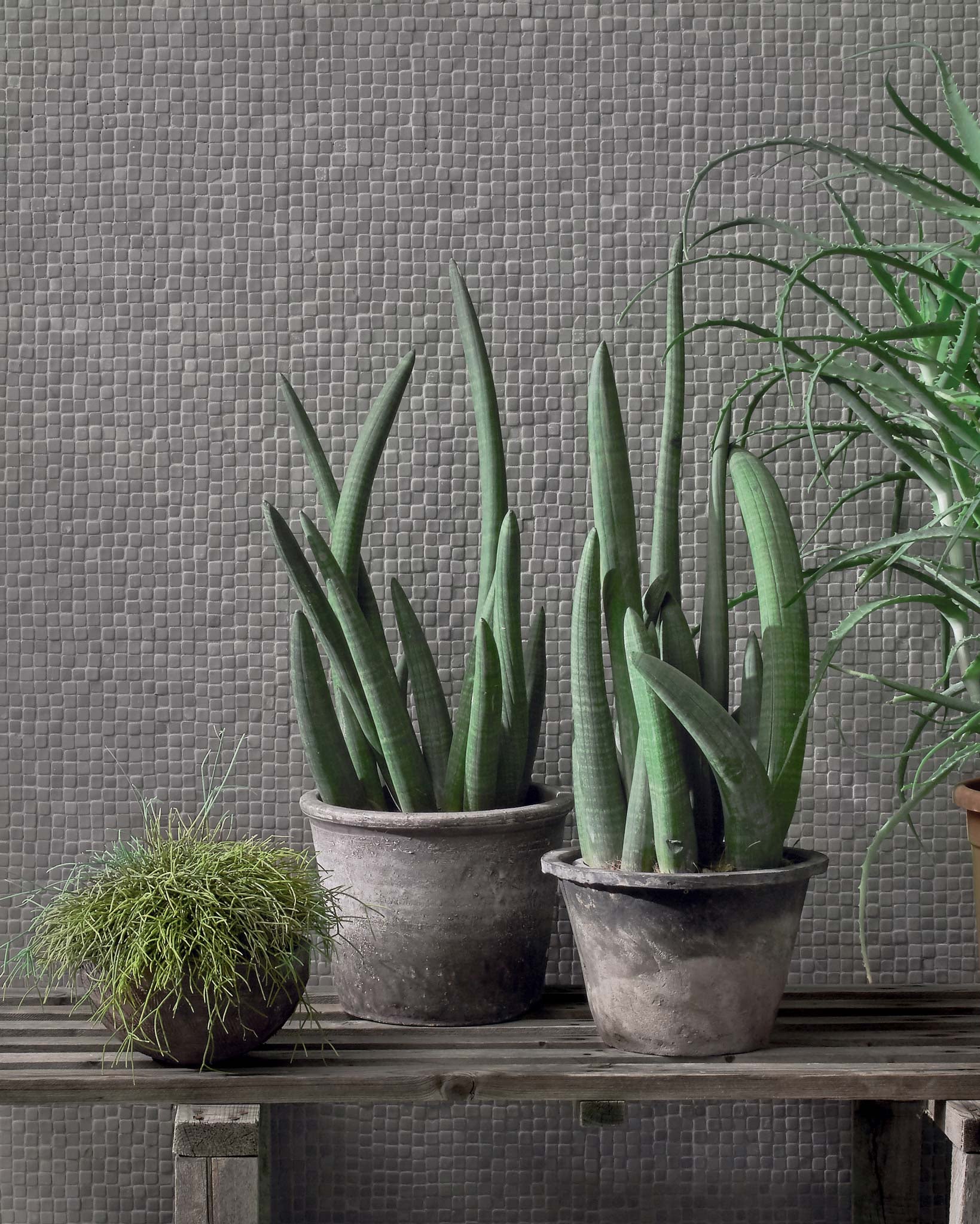 Revestimiento porcelánico Nano Gap