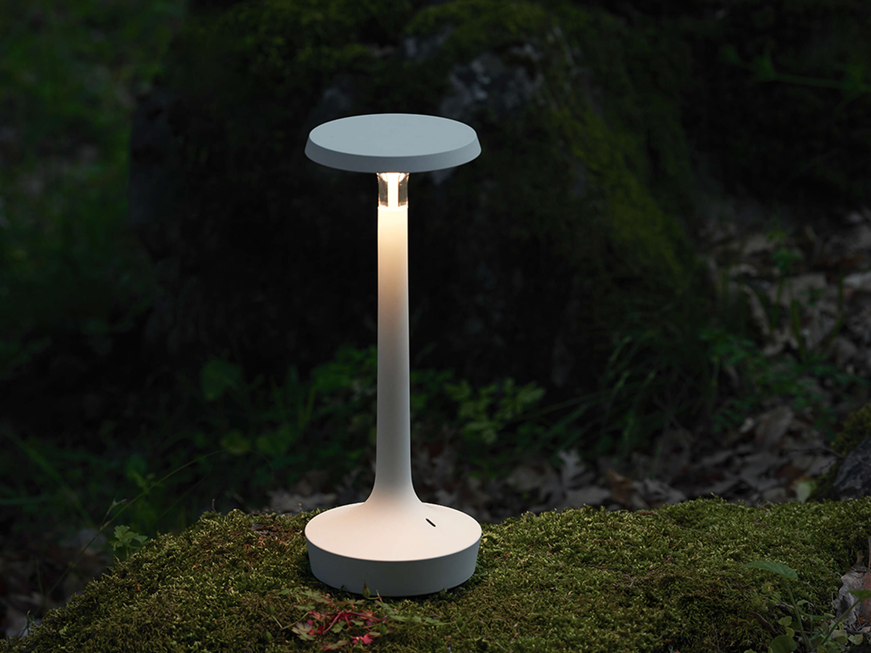 Bon Jour Unplugged Table Lamp