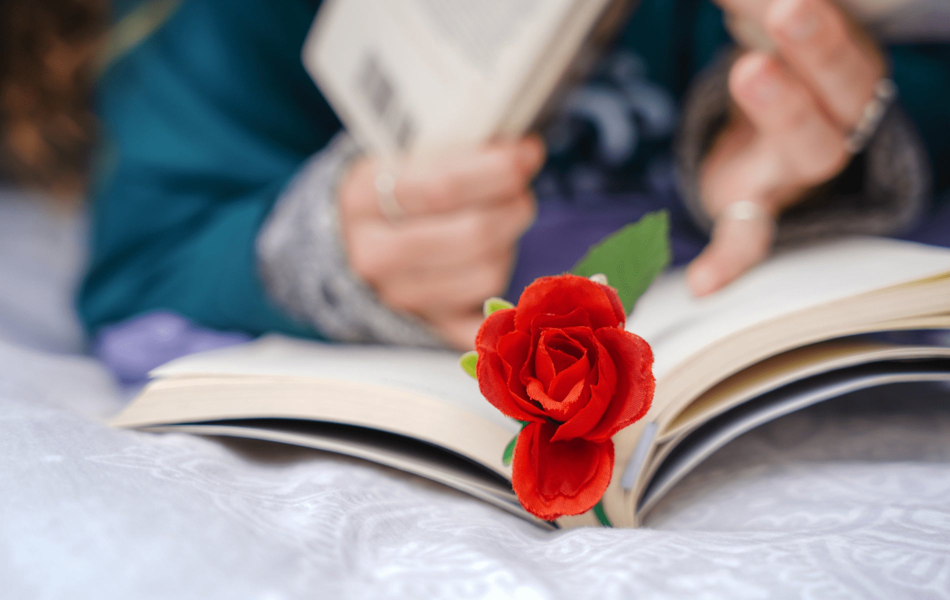 sant-jordi-decoracion-interiores