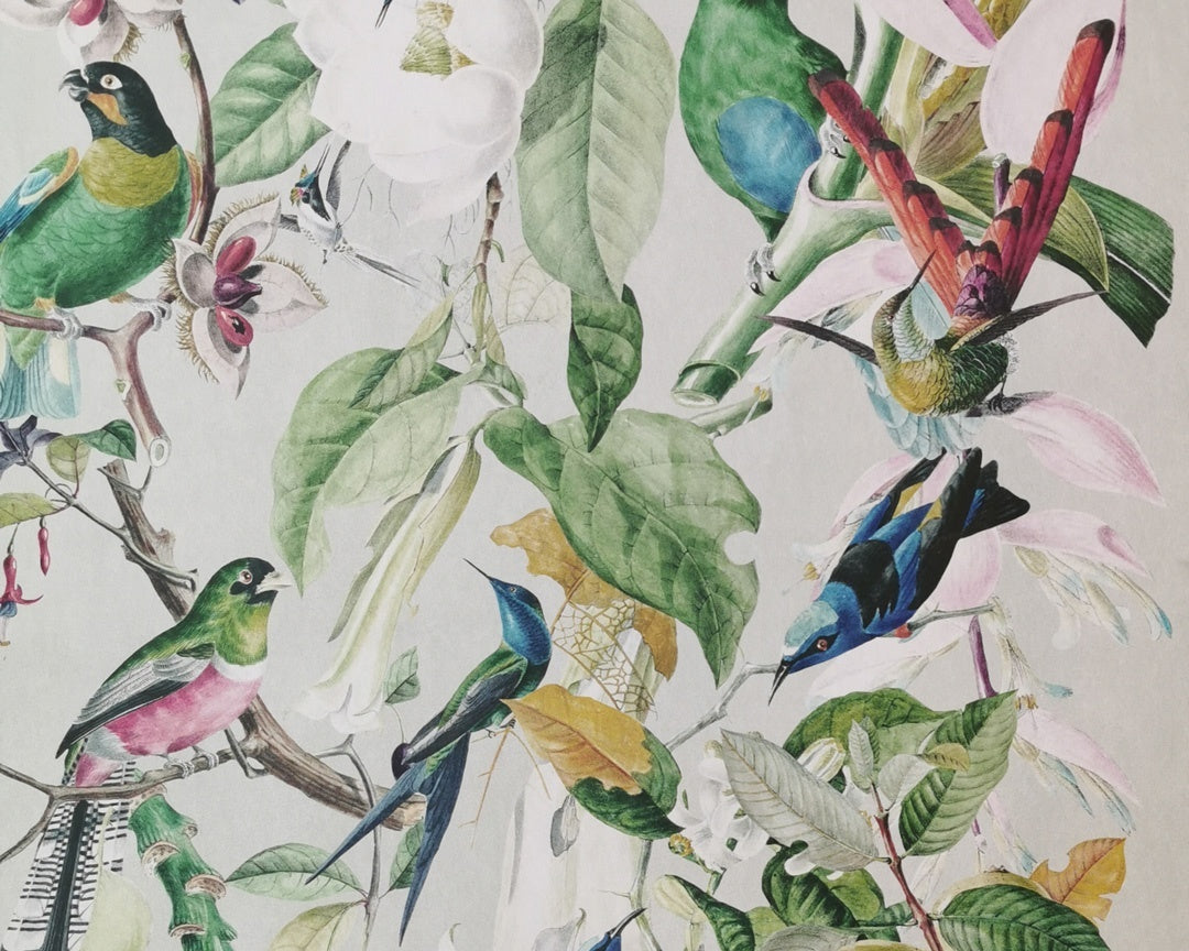 papeles-pintados-tienda-decoracion-interiorismo