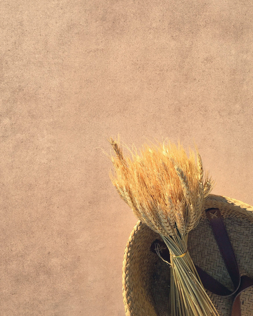 Cotto collection porcelain flooring