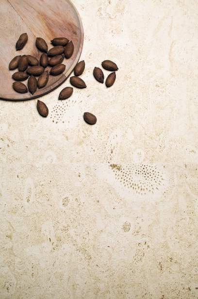 Coralina collection porcelain flooring