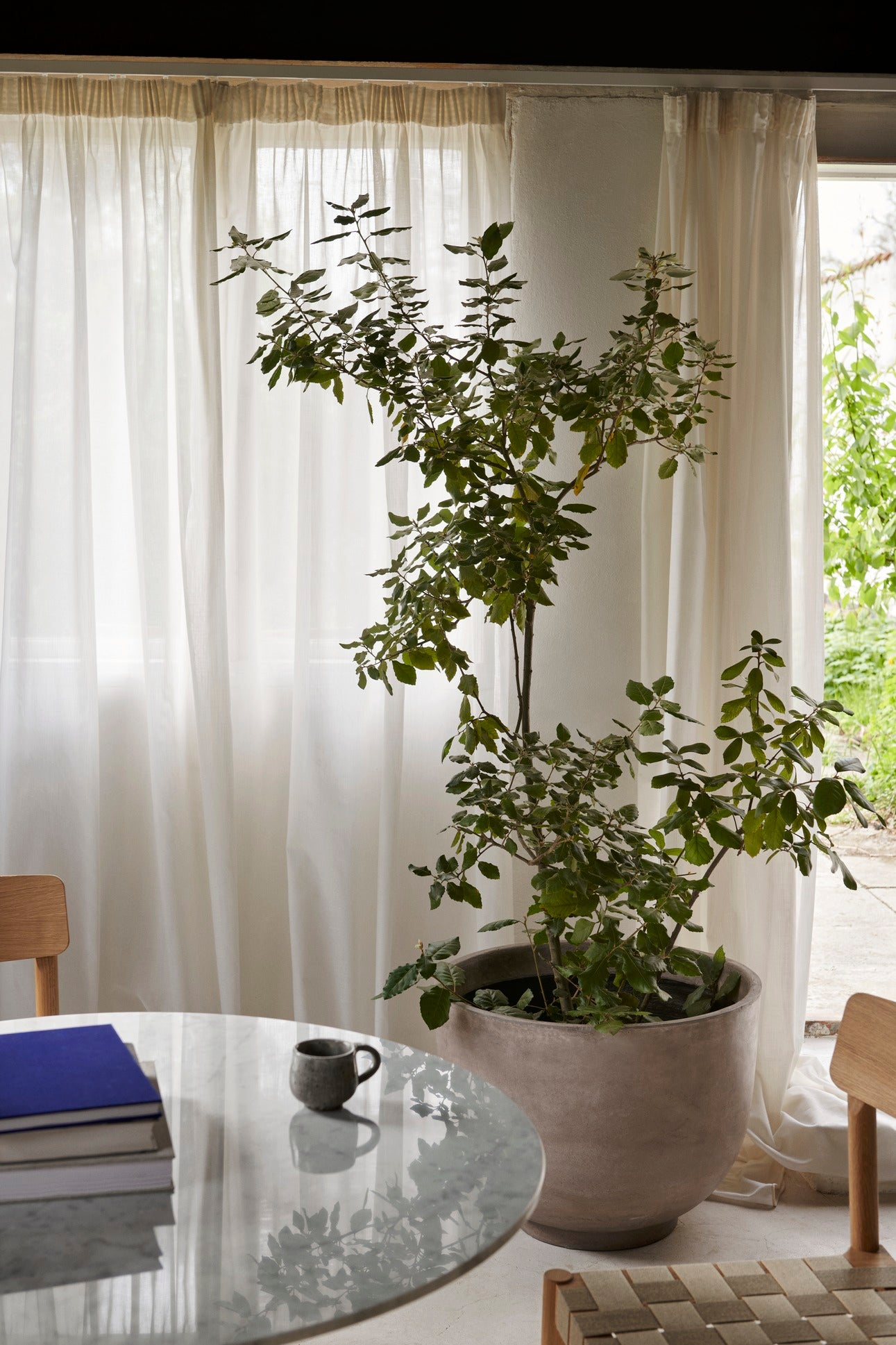 Betty TK1 dining chair (2 units)