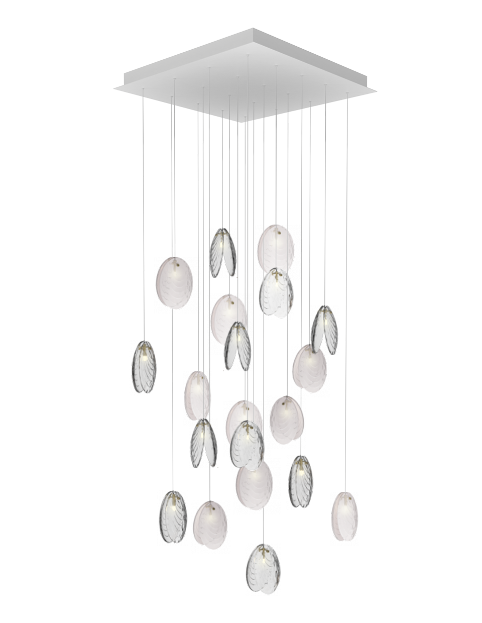 Mussels Chandelier Ceiling Light