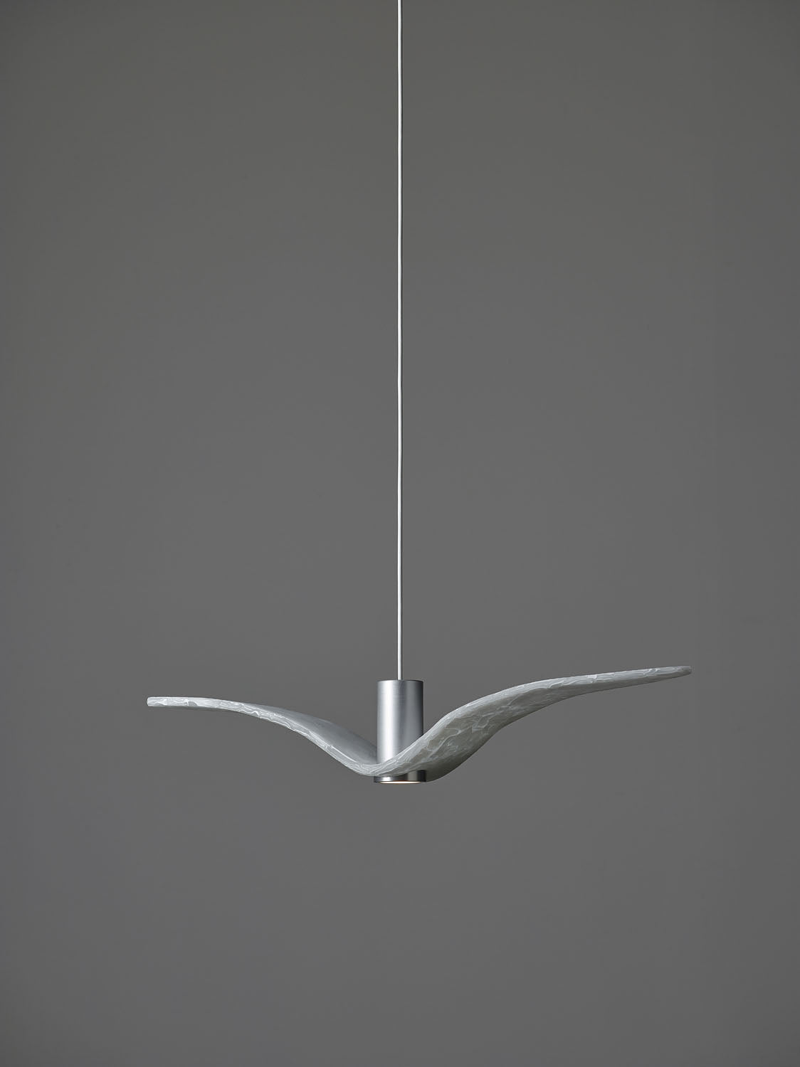 Night Birds Interior Ceiling Lamp