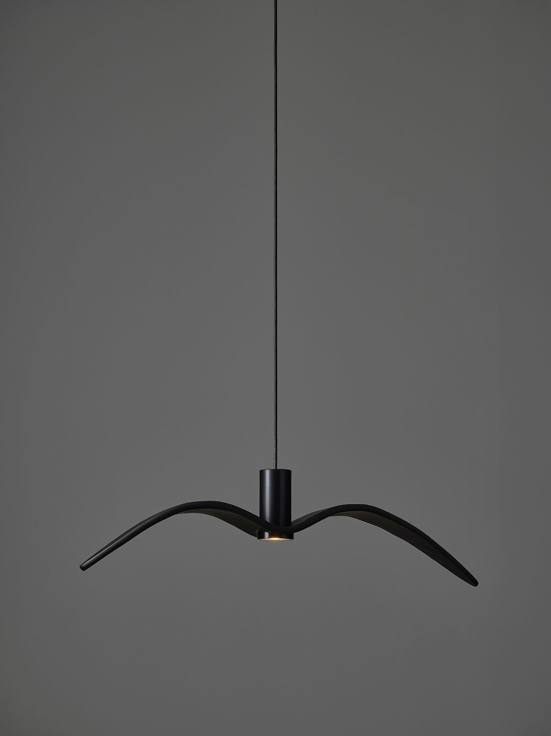 Night Birds Interior Ceiling Lamp