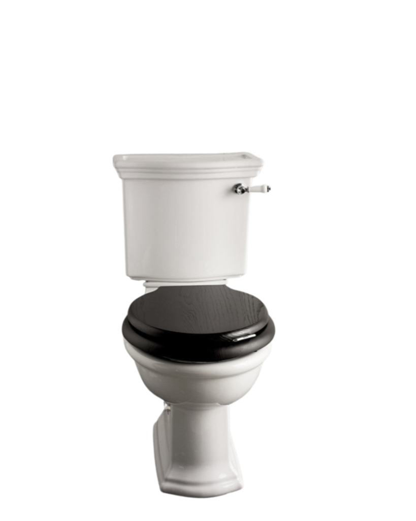 New Etoile floor-standing toilet with exposed cistern
