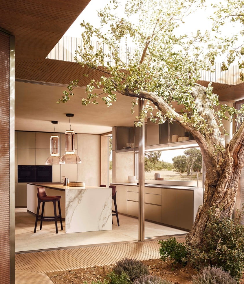 Alea Pro Kitchen