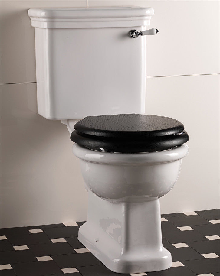 Etoile floor-standing toilet with exposed cistern