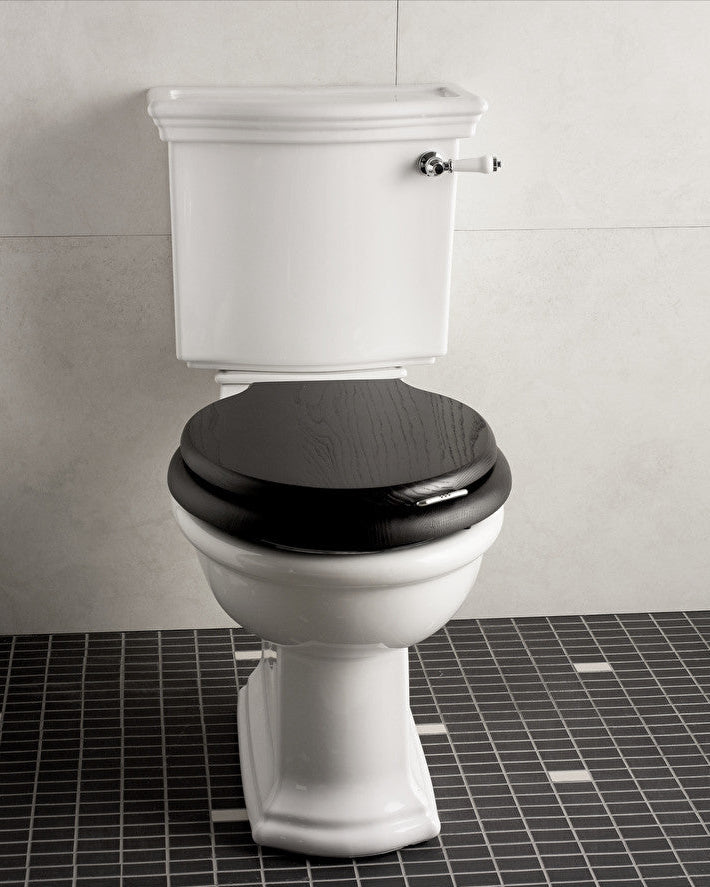 New Etoile floor-standing toilet with exposed cistern
