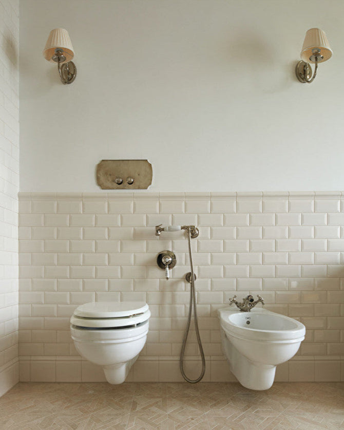 Rose wall-hung toilet