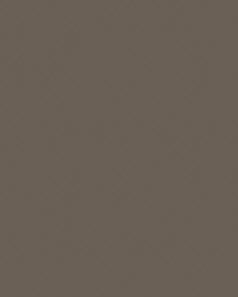 Revestimiento porcelánico Silk