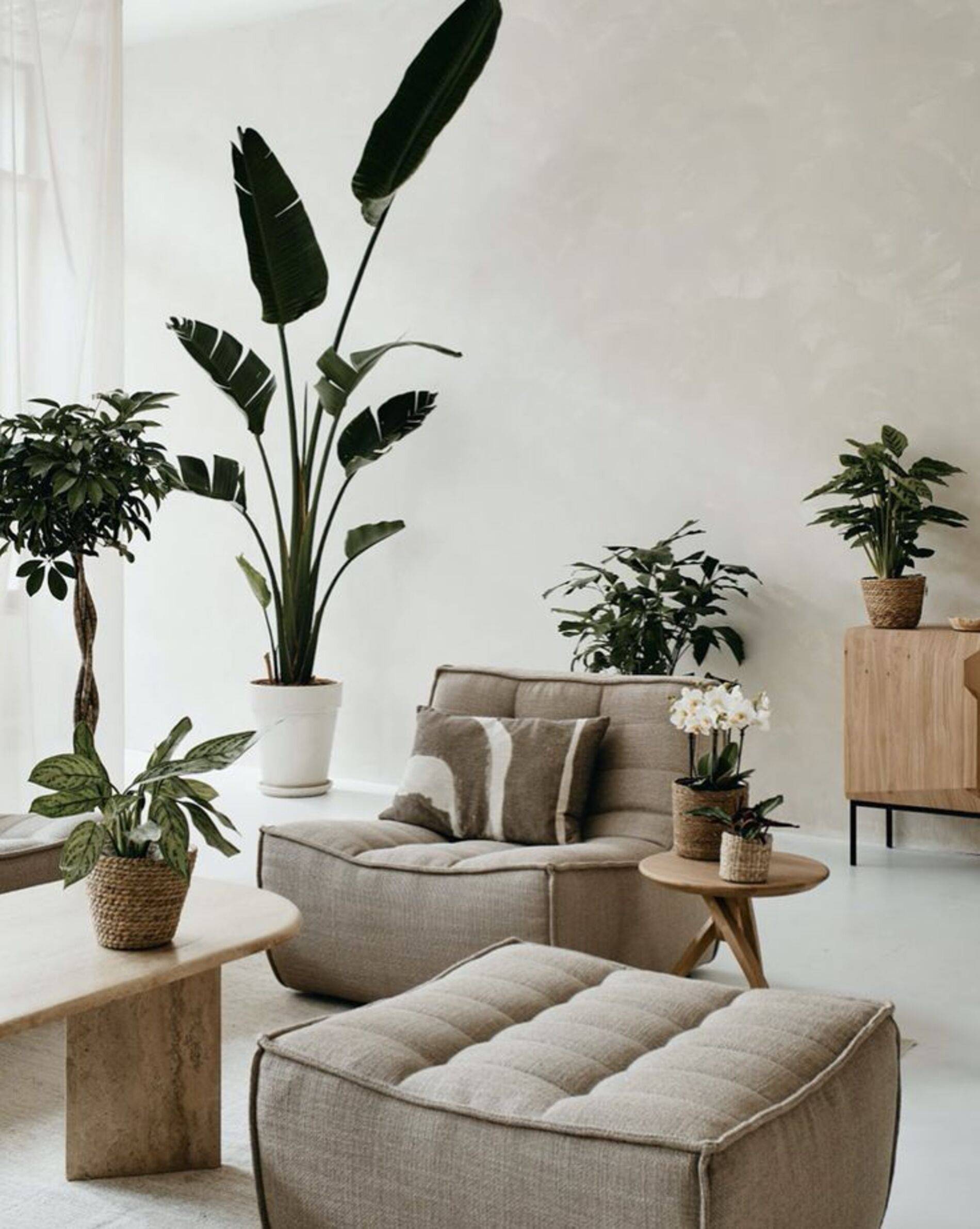 BLOG, Gunni &amp; Trentino