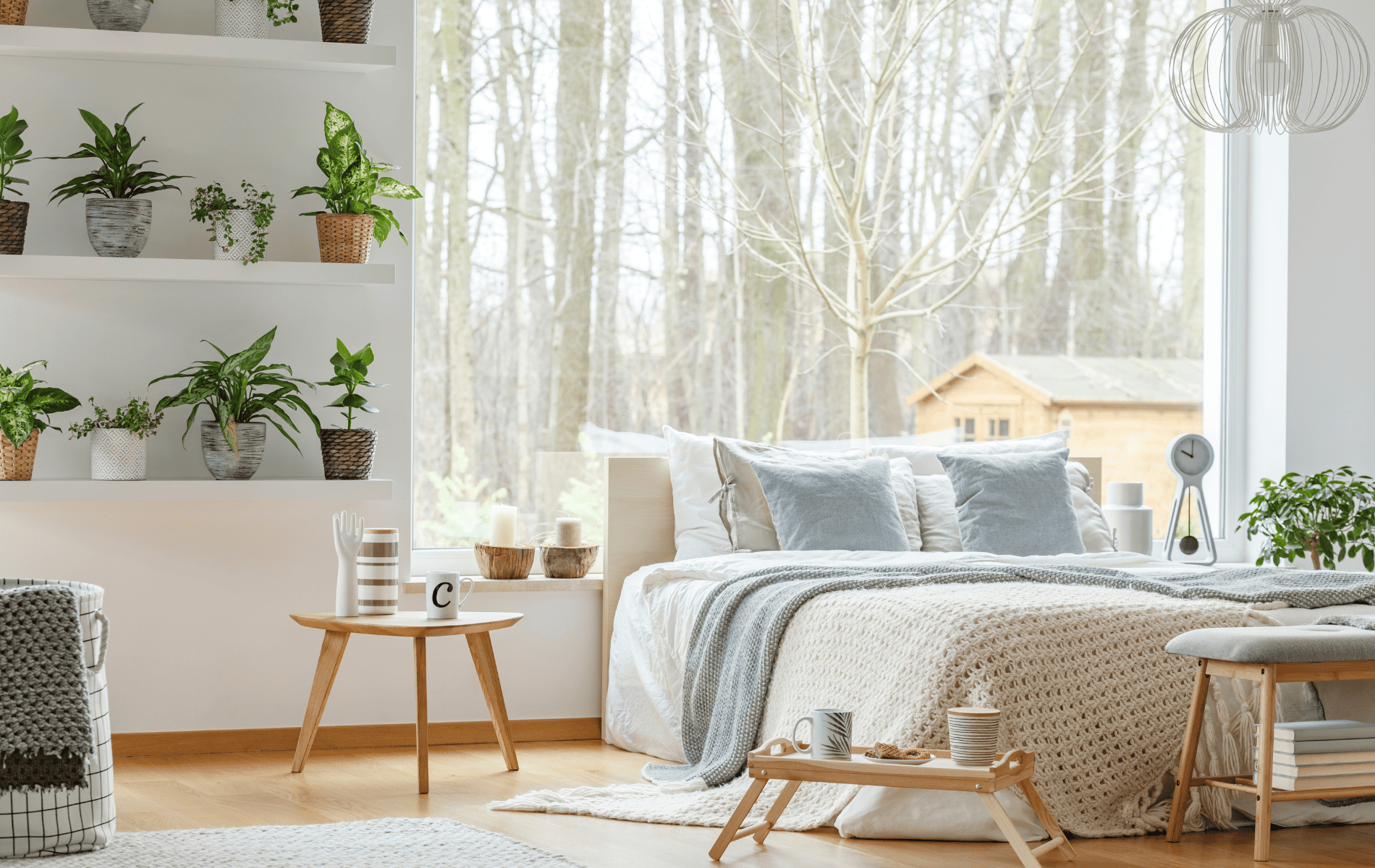 Ideas creativas para decorar con plantas de interior, Gunni &amp; Trentino