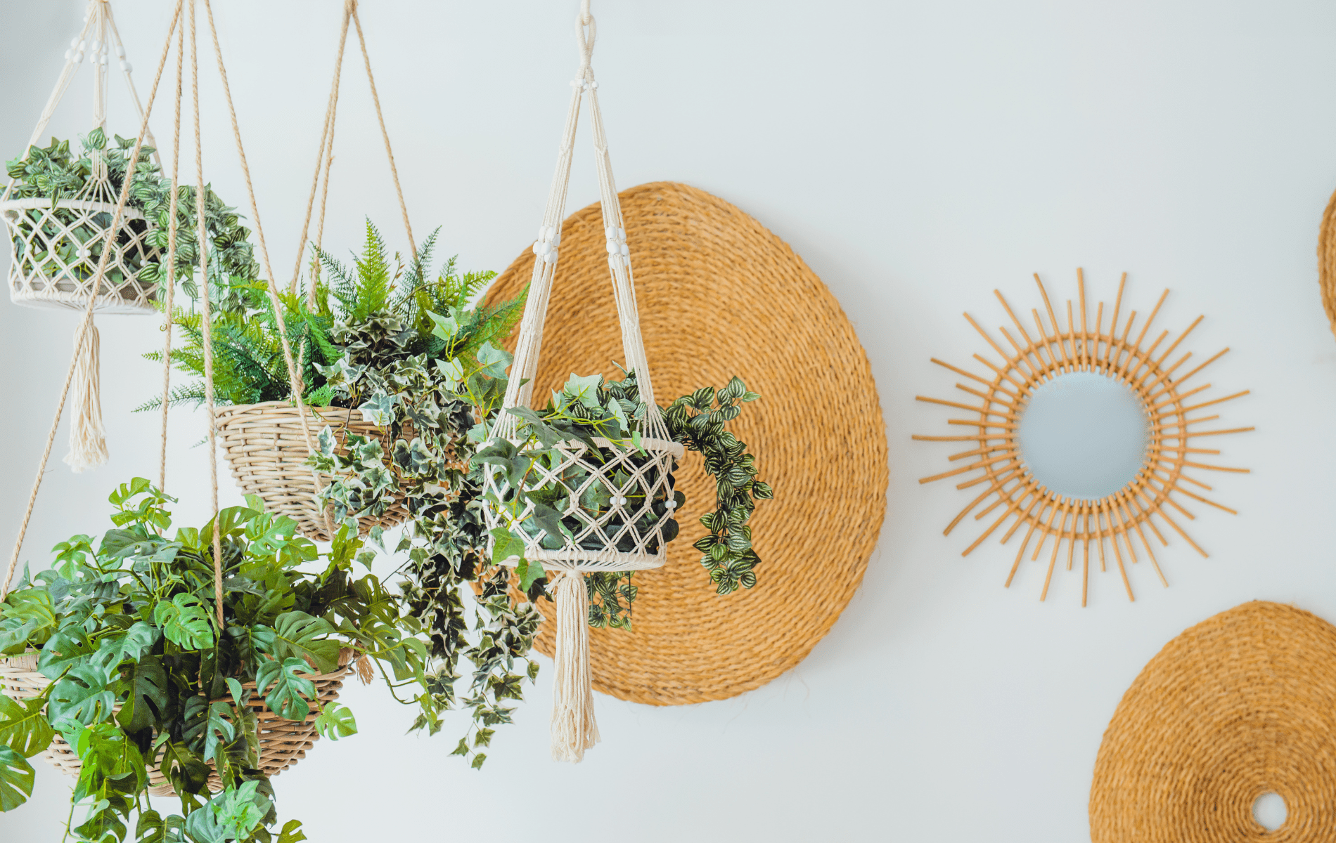 Ideas creativas para decorar con plantas de interior, Gunni &amp; Trentino