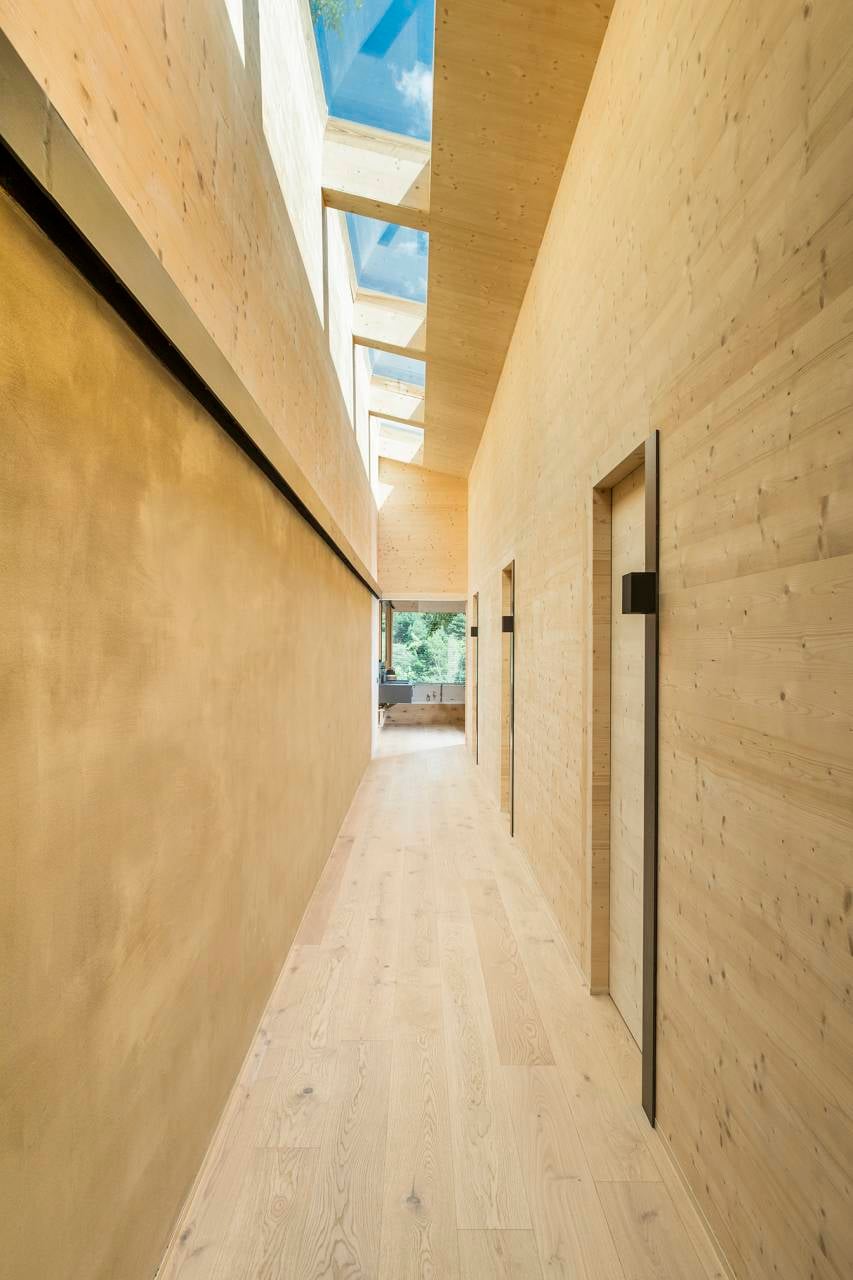 PROYECTOS, Gunni &amp; Trentino